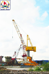 CẨU CHÂN ĐẾ 50 TẤN